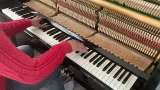 Scott Joplin, J Lawrence Cook- &ldquo;Fig Leaf Rag&rdquo; QRS roll arrangement played by Gordon Jang