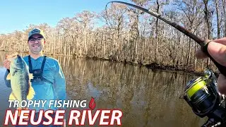 Caught a Giant while fishing for Trophy Crappie on my Local River - 2025