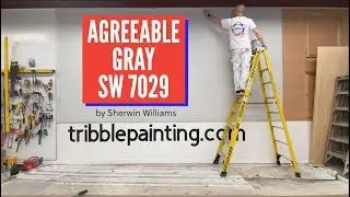 Agreeable Gray SW 7029 by Sherwin Williams