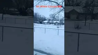 Evening Travel in Frozen Canada ❄️ | White Wonderland Drive#shorts#viral#canada#snow#freezesnow#new