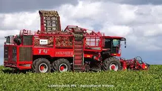Holmer - Fendt - Hawe / Rübenernte - Beet Harvest  2020