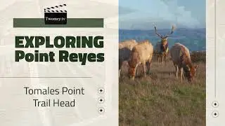 Point Reyes Hike