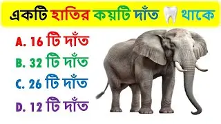 একটি হাতির কয়টি দাঁত থাকে ?   @Quizpal