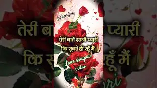 तेरी बात इतनी प्यारी कि सुनती ही रहूँ मैं | love shayari video| love shayari status #lovesahayari