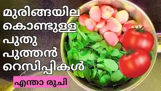 ഈ മുരിങ്ങയില വിഭവങ്ങളുടെ ടേസ്റ്റ് നിങ്ങളെ അത്ഭുതപ്പെടുത്തും #MuringaleafCurry #myammachiskitchen