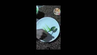 Plating technique n style