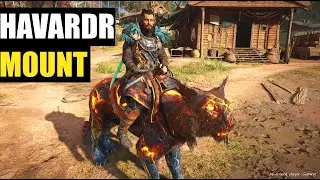 Assassins Creed Valhalla Epic HAVARDR MOUNT + Redas Shop Weekly Reset Showcase