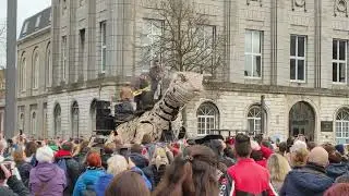 Le Varan de Calais