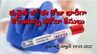 Kuwait telugu news today/gulf news telugu lo today/praba gulf news telugu lo today/gulf news in telu