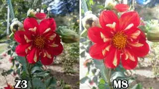 More Pixels Or Bigger Pixels? - Camera Comparison