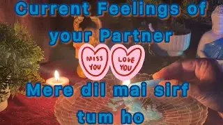 💕CURRENT-FEELINGS ll 🕯️CANDLE-WAX-READING ll  🕐TIMELESS READING ll