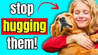 15 вещей, которые собака НИКОГДА не простит! | K9Pedia
