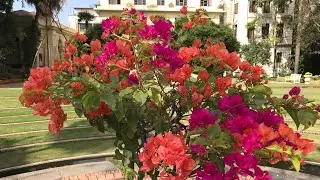 Kathmandu Nepal Garden Of Dreams