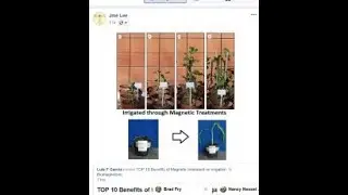 The Effect of Magnets on Plant Growth