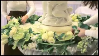 LoraShen за работой