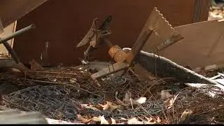 6 children removed from filthy home