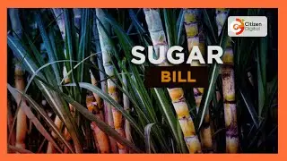 Sugarcane farmers in Chemeli give views on sugar bill