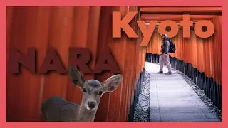 Pojechałem do Nary! Fushimi Inari, Nara