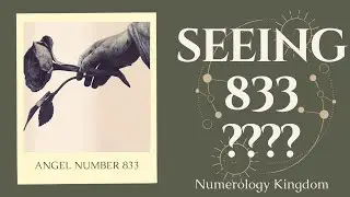 Are You Seeing 833 Everywhere? The Secrets Meaning of Angel Number 833