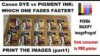 Canon Photo Print Longetivity Lighfastness (part1) Print the images #Canon #Quality #Lightfastness
