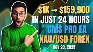 $1,000 Turned $159,900 in 24 Hours | GMS Pro EA Gold Scalping Strategy (XAUUSD Forex Trading Result)