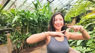 Kuranda | Skyrail | Scenic Railway | Day 3 | Cairns 🇦🇺