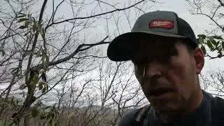 #8 Mt. Frissell Connecticut High Point