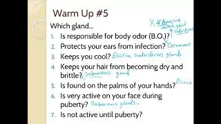 Integumentary System Notes 5