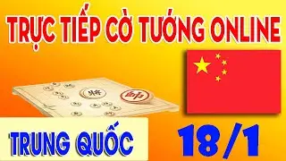 TRỰC TIẾP CỜ TƯỚNG TRUNG QUỐC ONLINE - CỜ TƯỚNG ĐỈNH CAO - LIVE CỜ TƯỚNG 2026