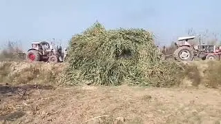Makkhi trala gira 3🚜tractor