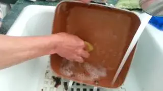 Gotham Steel pan, 6 months later