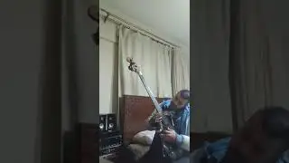 Lamb of god walk with me in hell bass cover mido voltage 