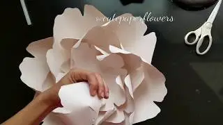 Template 14 medium flowers, diy peony, peony tutorial, diy paper flower
