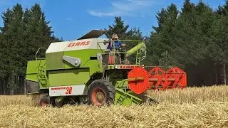 Claas Dominator 38 | Graan dorsen | Grain Harvest | Getreideernte | 2015