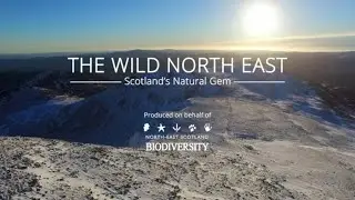 The Wild North East - Scotland's Natural Gem