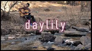 daylily by movements (live acoustic cover by peter blomberg)