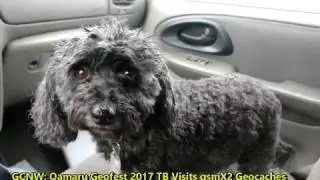 GCNW: Oamaru Geofest 2017 TB Visits Favorited gsmX2 Hides