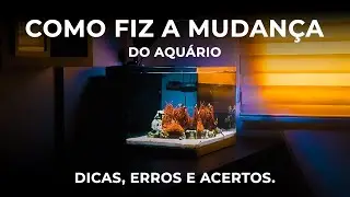 Me mudei e levei o aquário junto. Como fiz a mudança com o aquário. Dicas, erros e acertos.
