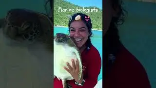Jobs you might want | Marine Biology #marinebiologist #marinebiology #jobs #oceanlife #ocean