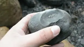 Fossil Hunting sandsend sept 2021