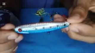 Lure check 