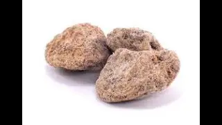 SALTED PLUM TIME ~ ROCK ON!!!!!!!
