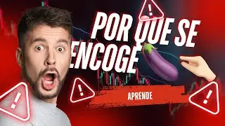 Por qué en n3p3 se hace chico