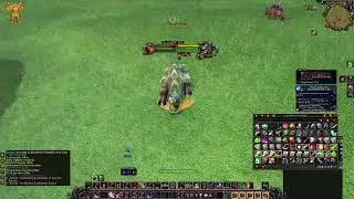 TBC HYPE ORC WARRIOR LEVELIN 26+ | Classic Anniversary Dreamscythe