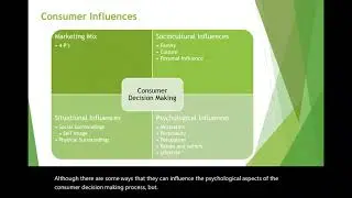 Consumer Influences