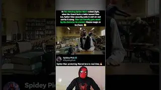 In The Amazing Spider-Man (2012), Stan Lee Gets Saved by His Creation