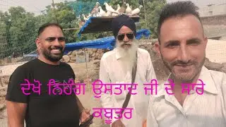 ਨਿਹੰਗ ਘਰਾਂਗਣਾ । Ustad Nihang Grangna with Sangha England..9888306910
