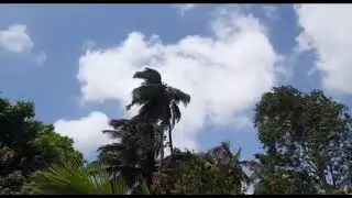 Biparjoy Cyclone || Effect || Diveagar || Kokan || Raigad || Maharashtra