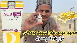 Best Medicine For Aseel Hen in Winter||Best Bareeding Farmoula For Hen In Winter|| #aseel #aseelcare