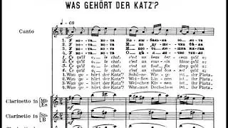 Igor Stravinsky - Berceuses du Chat for Voice and Three Clarinets (1915-16) [Score-Video]